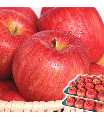 Amazon.co.jp: りんご 減農薬 小玉10キロ 長野県産 : 食品・飲料・お酒